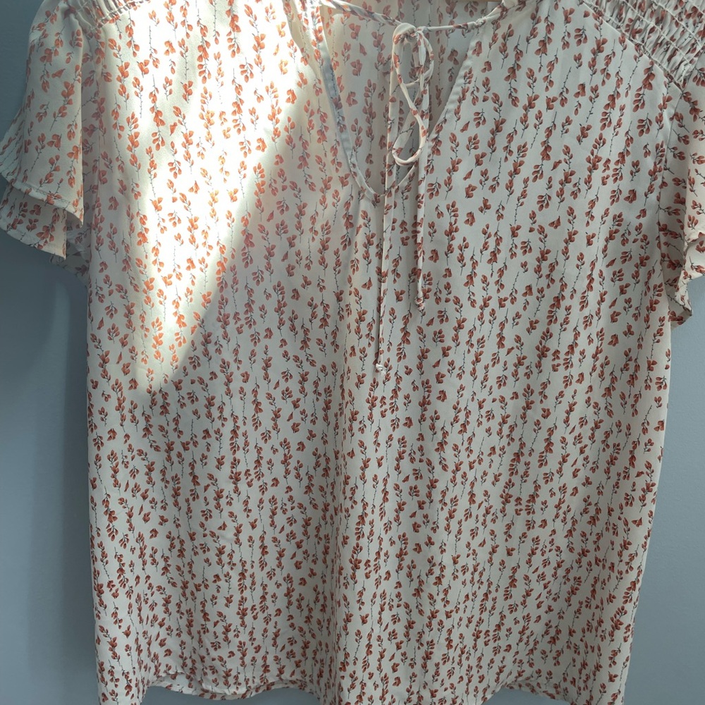 Kaileigh Floral Cream Blouse short sleeve blouse size 3x